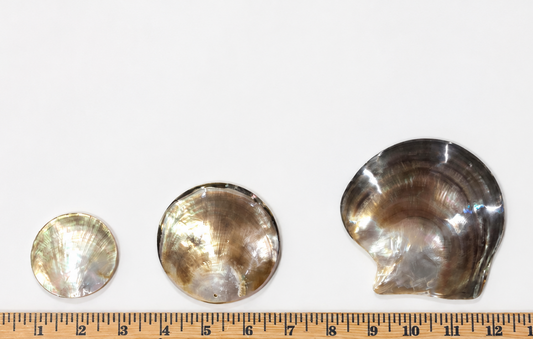 Mother of Pearl Shell - Round