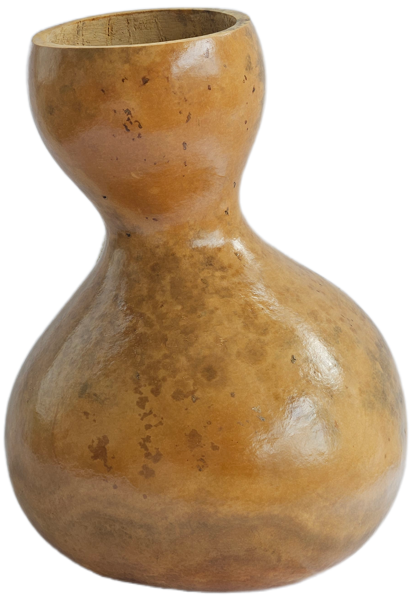 Ipu Large