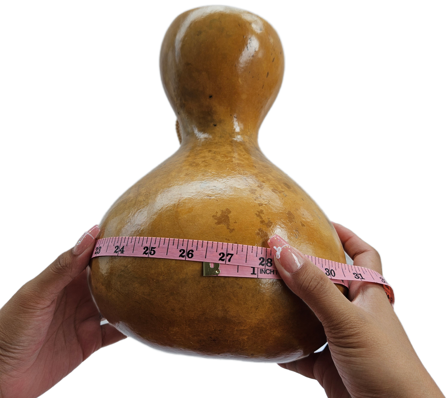 Ipu Large