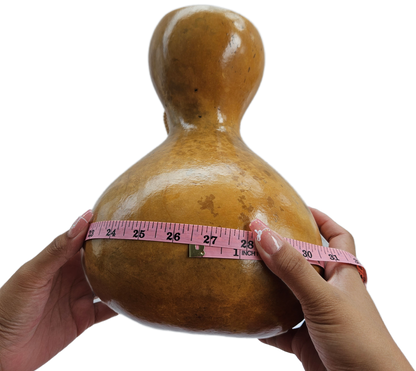 Ipu Large