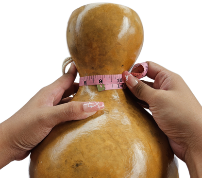 Ipu Large