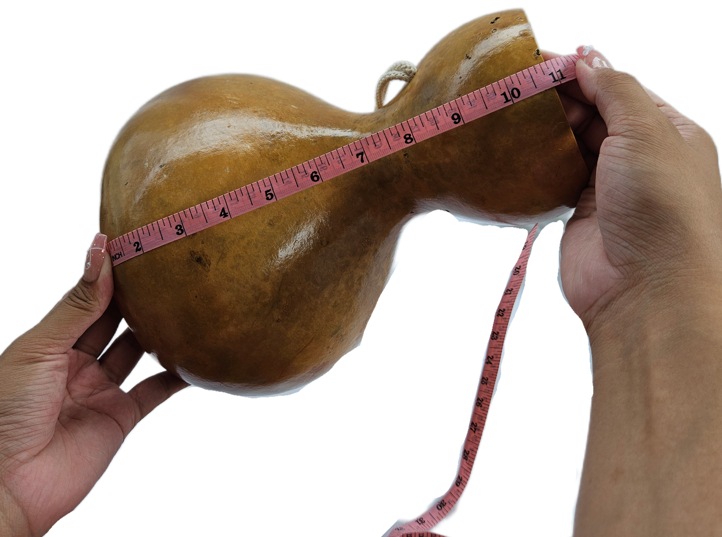 Ipu Large