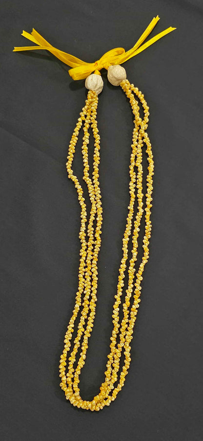 Mongo Shell 3 Strand Lei