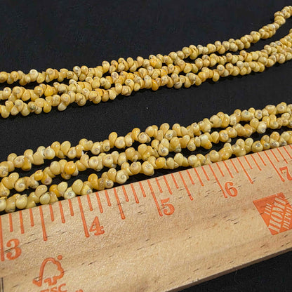 Mongo Shell 3 Strand Lei