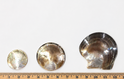 Mother of Pearl Shell - Round