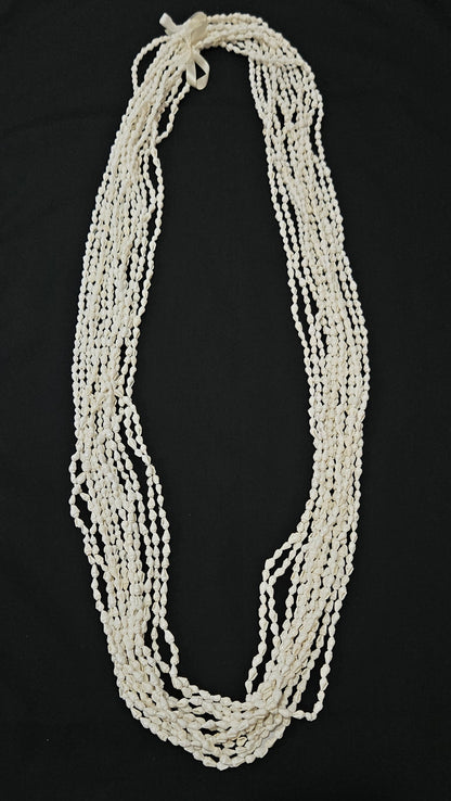Dovetail Shell Lei - Dozen