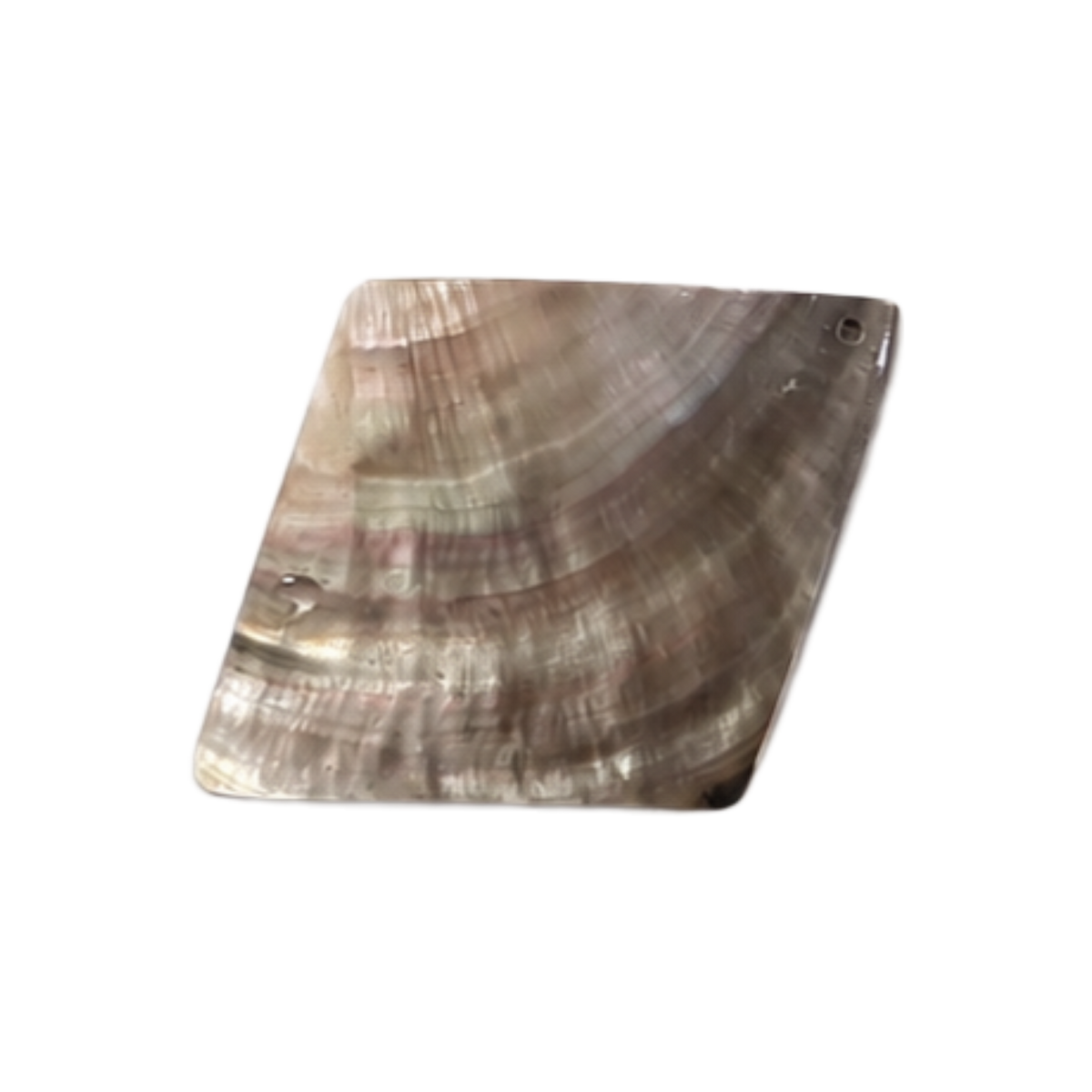 Mother of Pearl Shell - Diamond