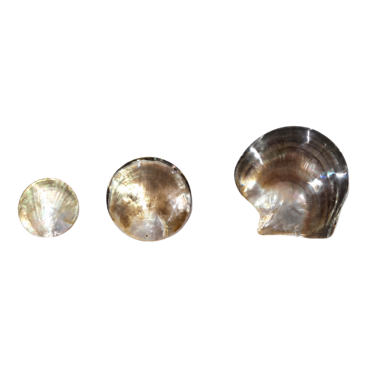 Mother of Pearl Shell - Round