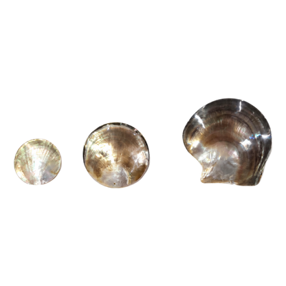 Mother of Pearl Shell - Round