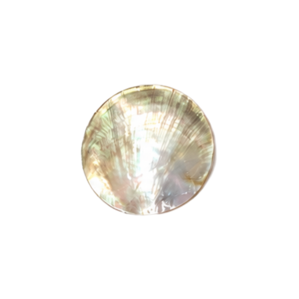 Mother of Pearl Shell - Round