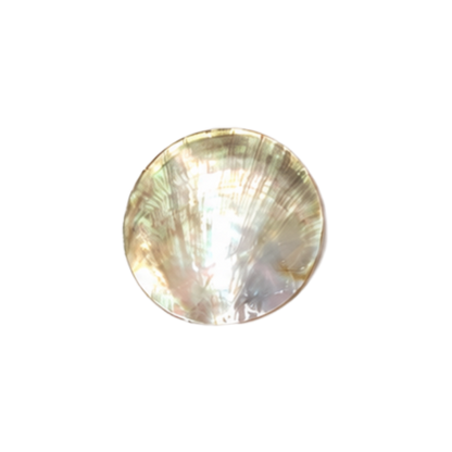 Mother of Pearl Shell - Round